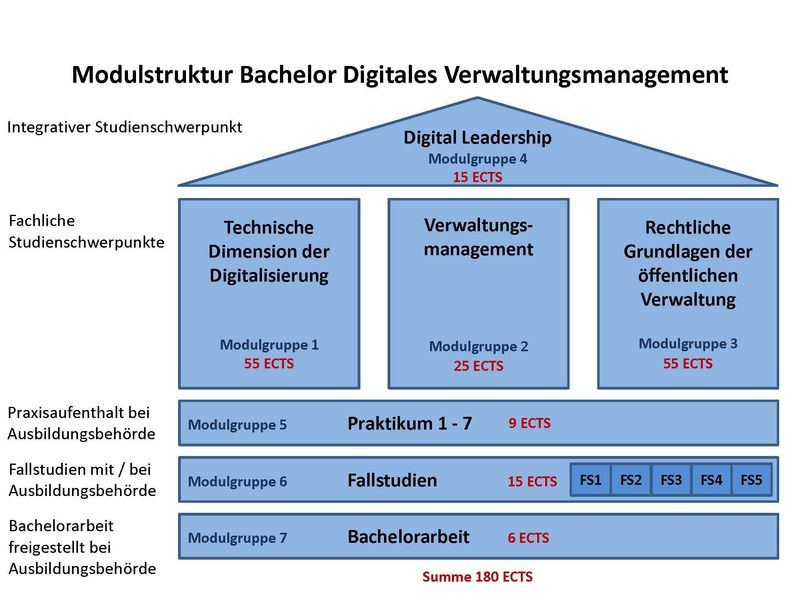 Hier finden Sie unsere Modulstruktur für den Studiengang Digitales Verwaltungsmanagement