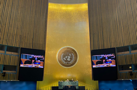 Eröffnung der 68. UN-Frauenrechtskommission