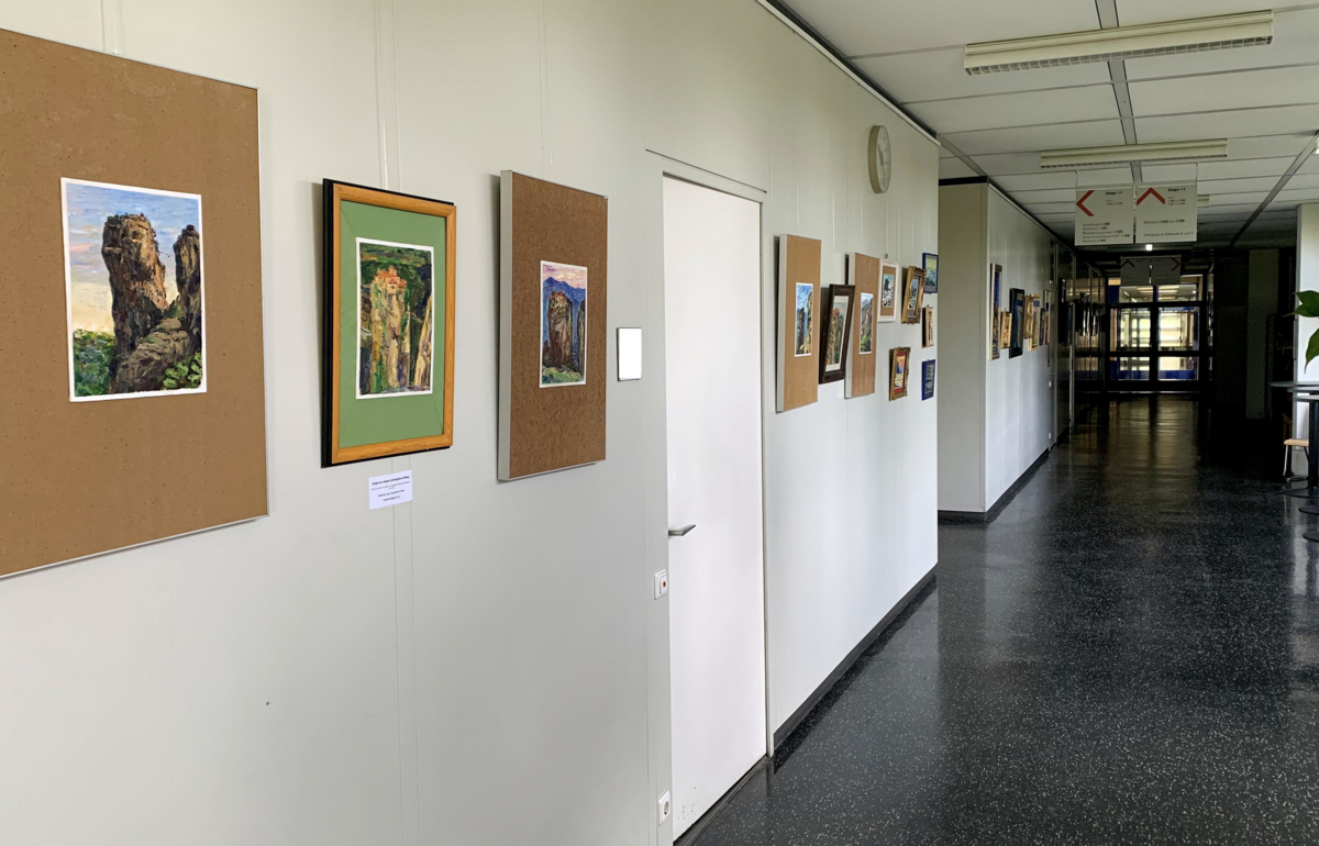 Foto einer der Bildreihen der Ausstellung