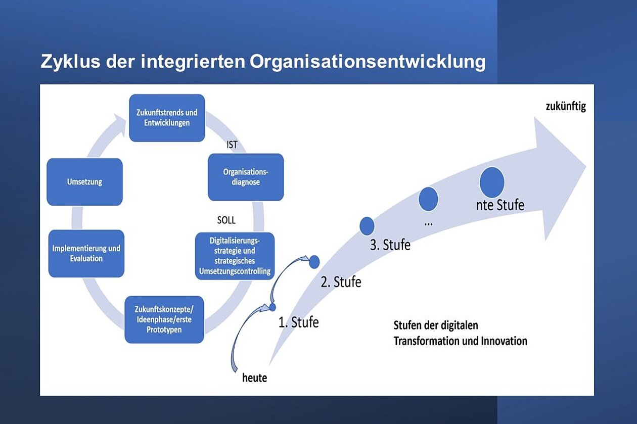 Grafik Zyklus der integrierten Organisationsentwicklung