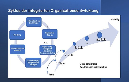 Grafik Zyklus der integrierten Organisationsentwicklung