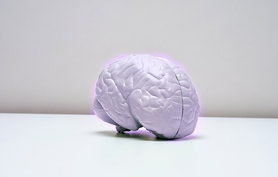 Künstliches neuronales Netz