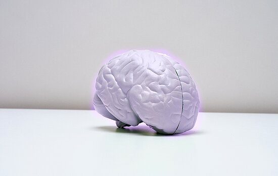 Künstliches neuronales Netz