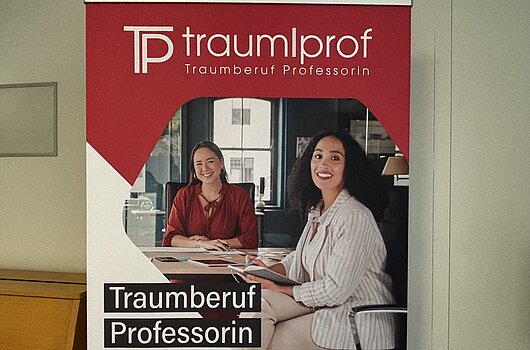 Traumberuf Professorin Roll-up