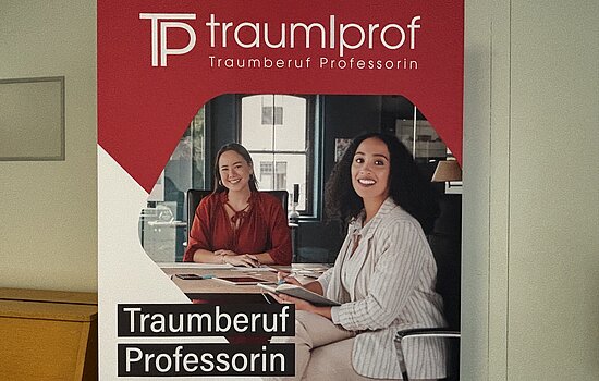 Traumberuf Professorin Roll-up